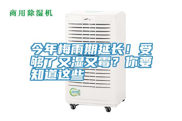 今年梅雨期延長！受夠了又濕又霉？你要知道這些