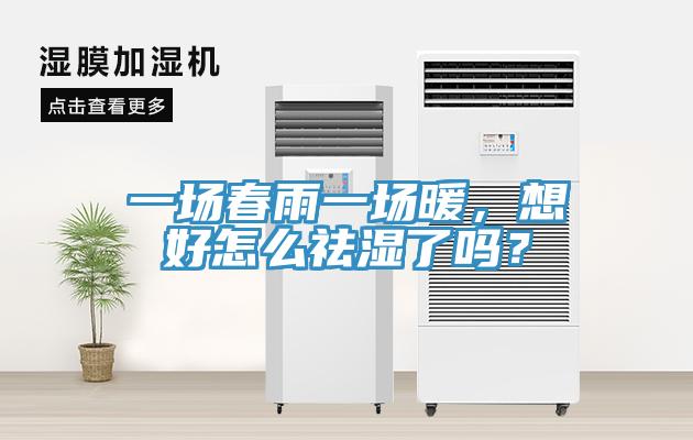 一場春雨一場暖，想好怎么祛濕了嗎？