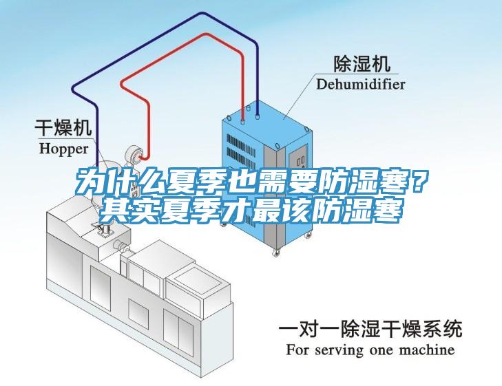 為什么夏季也需要防濕寒？其實夏季才最該防濕寒