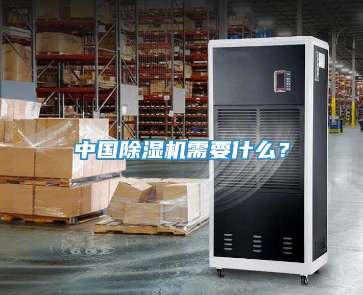 中國除濕機需要什么？
