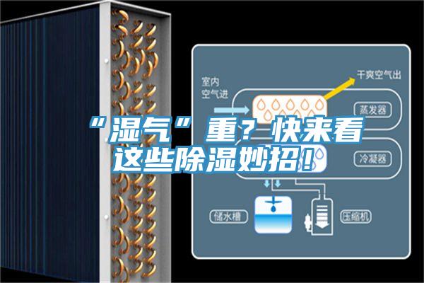 “濕氣”重？快來看這些除濕妙招！