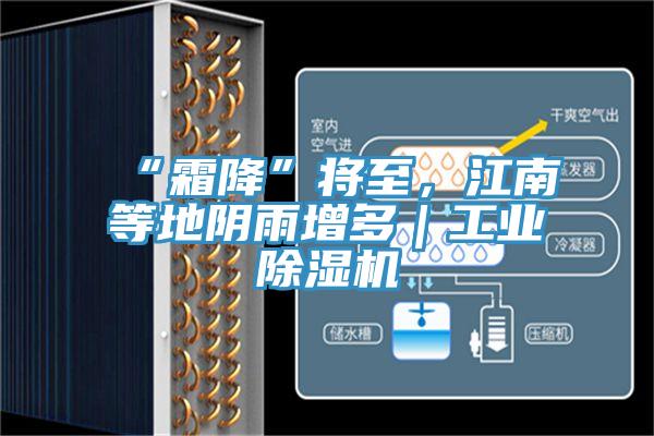 “霜降”將至，江南等地陰雨增多｜工業(yè)除濕機