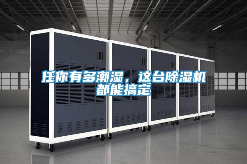 任你有多潮濕，這臺(tái)除濕機(jī)都能搞定