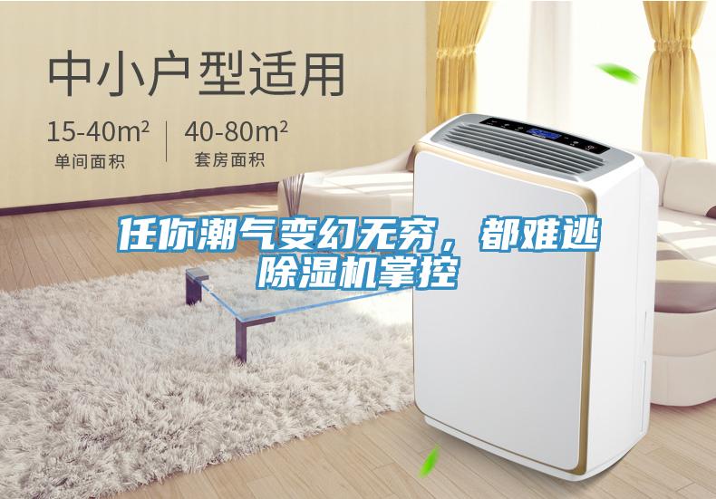 任你潮氣變幻無窮，都難逃除濕機(jī)掌控