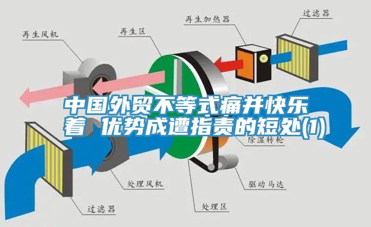中國外貿(mào)不等式痛并快樂著 優(yōu)勢成遭指責的短處(1)