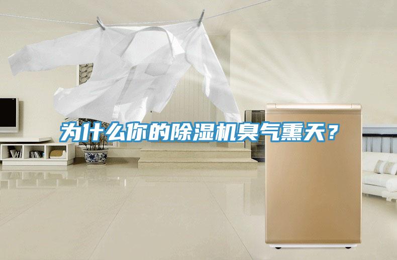 為什么你的除濕機(jī)臭氣熏天？