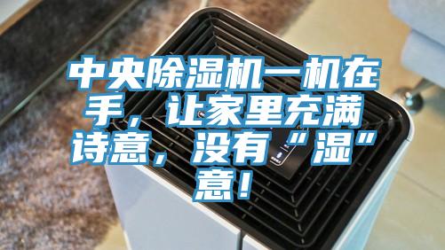 中央除濕機(jī)一機(jī)在手，讓家里充滿詩意，沒有“濕”意！
