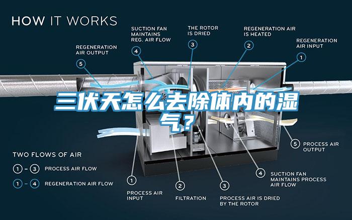 三伏天怎么去除體內(nèi)的濕氣？