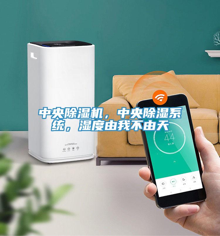中央除濕機(jī)，中央除濕系統(tǒng)，濕度由我不由天
