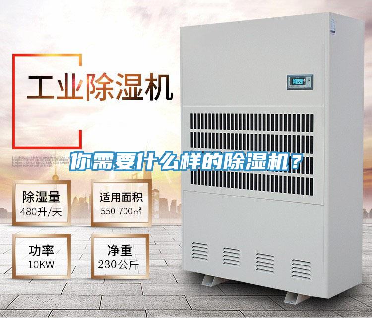 你需要什么樣的除濕機(jī)？