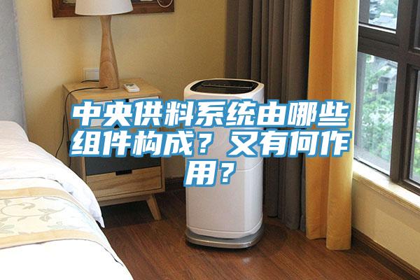 中央供料系統(tǒng)由哪些組件構(gòu)成？又有何作用？