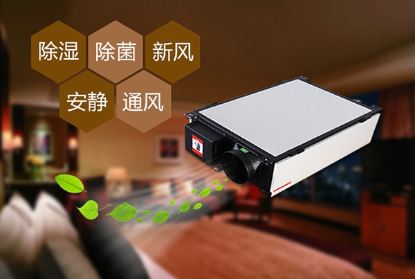 為什么冷庫除濕機會出現結霜的情況？