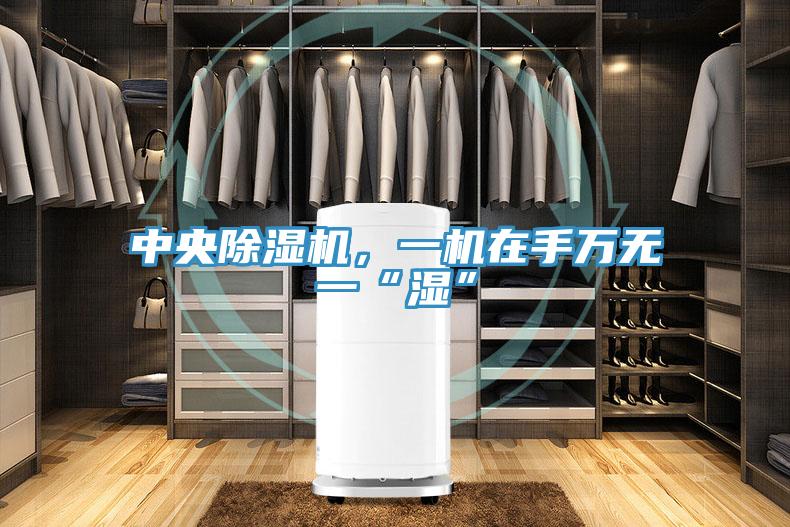 中央除濕機(jī)，一機(jī)在手萬無一“濕”