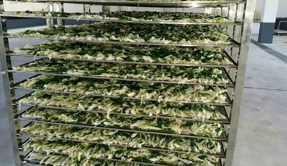 菜干需求一直都很大，蔬菜烘干機(jī)很有市場(chǎng)