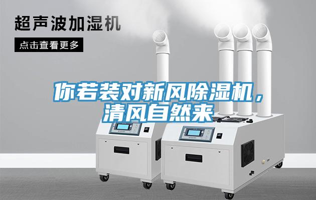你若裝對(duì)新風(fēng)除濕機(jī)，清風(fēng)自然來(lái)