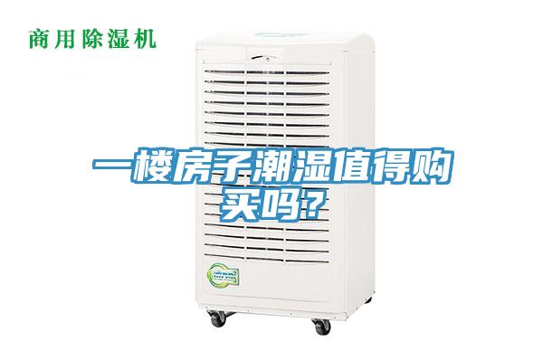 一樓房子潮濕值得購買嗎？
