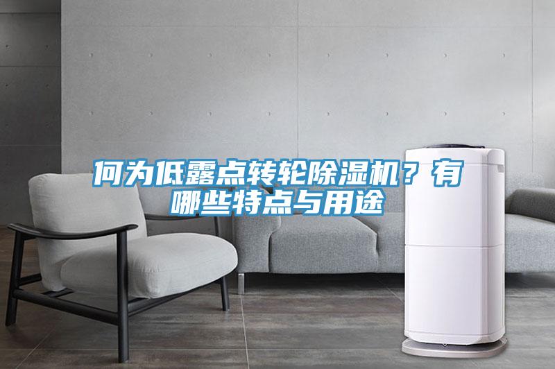 何為低露點(diǎn)轉(zhuǎn)輪除濕機(jī)？有哪些特點(diǎn)與用途