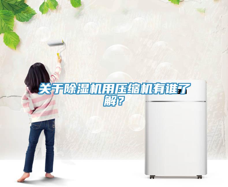 關(guān)于除濕機(jī)用壓縮機(jī)有誰(shuí)了解？