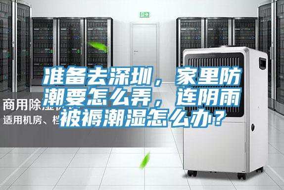 準備去深圳，家里防潮要怎么弄，連陰雨被褥潮濕怎么辦？