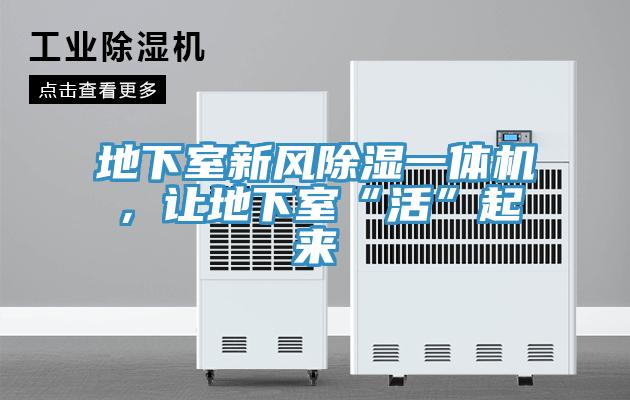 地下室新風(fēng)除濕一體機(jī)，讓地下室“活”起來