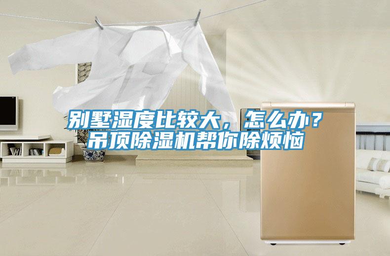 別墅濕度比較大，怎么辦？吊頂除濕機(jī)幫你除煩惱
