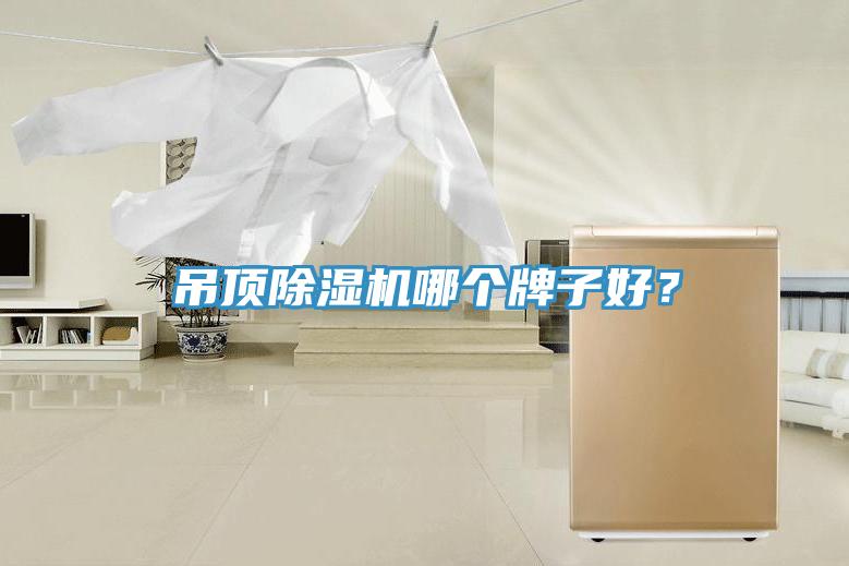 吊頂除濕機(jī)哪個牌子好？