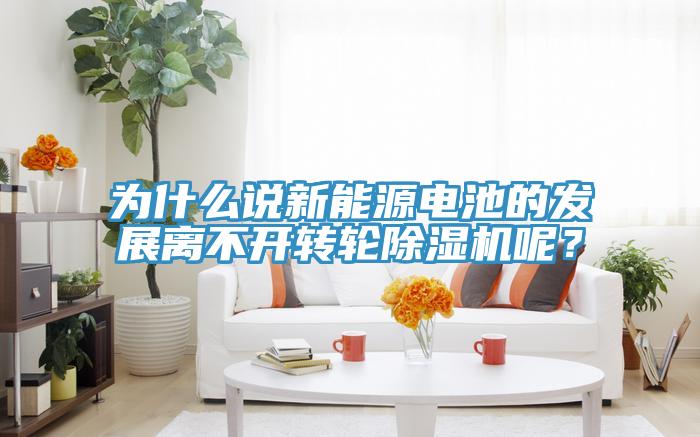 為什么說(shuō)新能源電池的發(fā)展離不開轉(zhuǎn)輪除濕機(jī)呢？