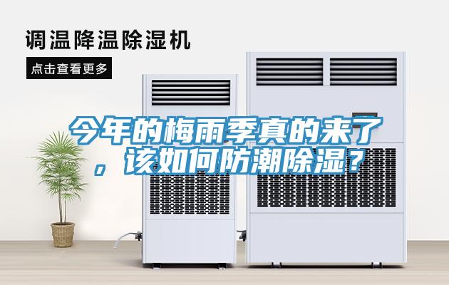 今年的梅雨季真的來(lái)了，該如何防潮除濕？