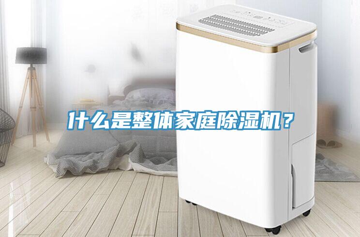 什么是整體家庭除濕機(jī)？