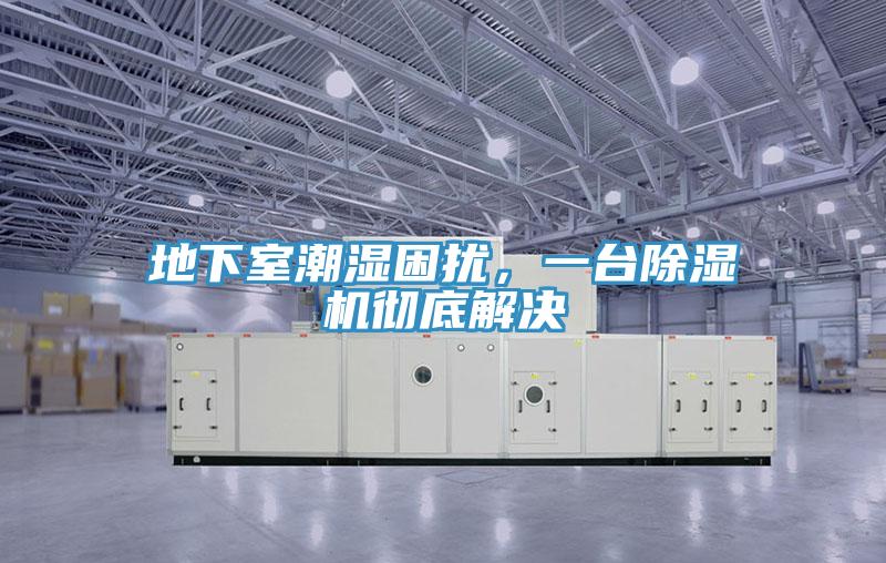 地下室潮濕困擾，一臺除濕機徹底解決