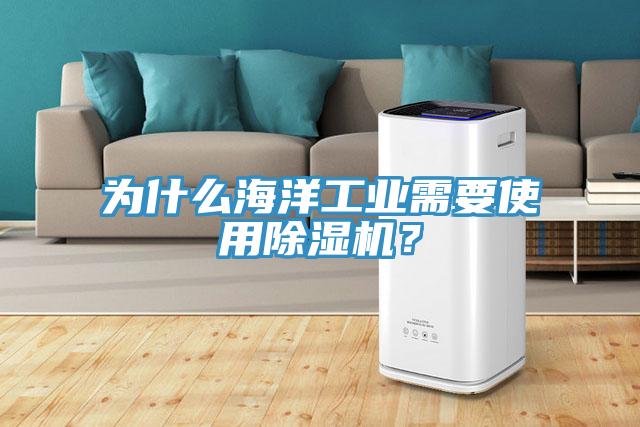 為什么海洋工業(yè)需要使用除濕機(jī)？