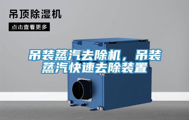 吊裝蒸汽去除機(jī)，吊裝蒸汽快速去除裝置
