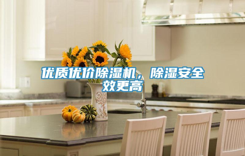 優(yōu)質(zhì)優(yōu)價除濕機，除濕安全效更高