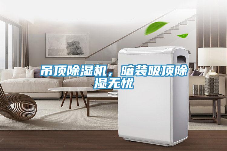 吊頂除濕機，暗裝吸頂除濕無憂