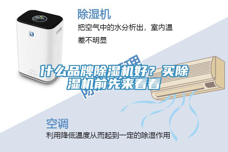 什么品牌除濕機(jī)好？買除濕機(jī)前先來看看