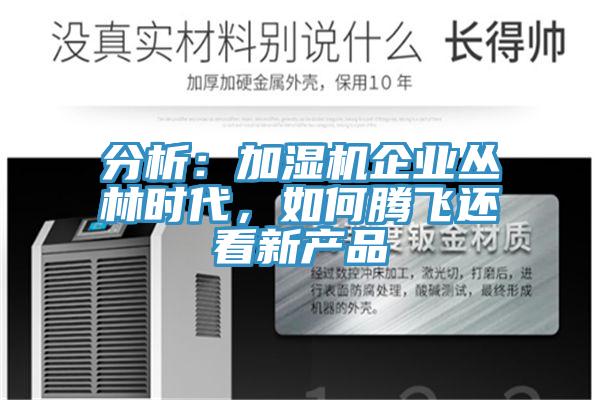 分析：加濕機企業(yè)叢林時代，如何騰飛還看新產品