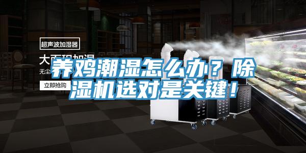 養(yǎng)雞潮濕怎么辦？除濕機選對是關鍵！