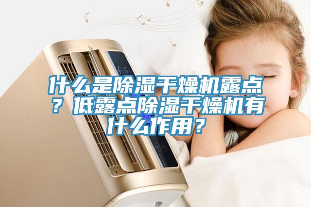 什么是除濕干燥機(jī)露點(diǎn)？低露點(diǎn)除濕干燥機(jī)有什么作用？