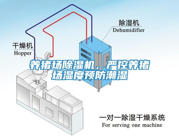 養(yǎng)豬場除濕機，嚴(yán)控養(yǎng)豬場濕度預(yù)防潮濕