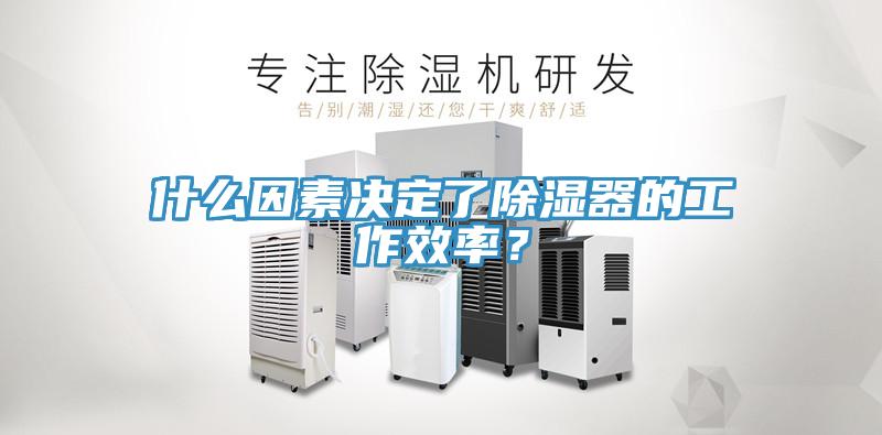 什么因素決定了除濕器的工作效率？