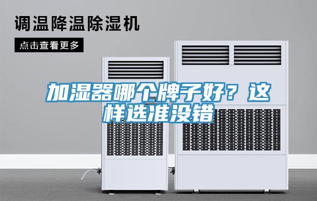 加濕器哪個牌子好？這樣選準(zhǔn)沒錯