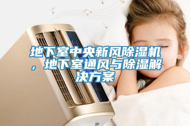 地下室中央新風(fēng)除濕機(jī)，地下室通風(fēng)與除濕解決方案