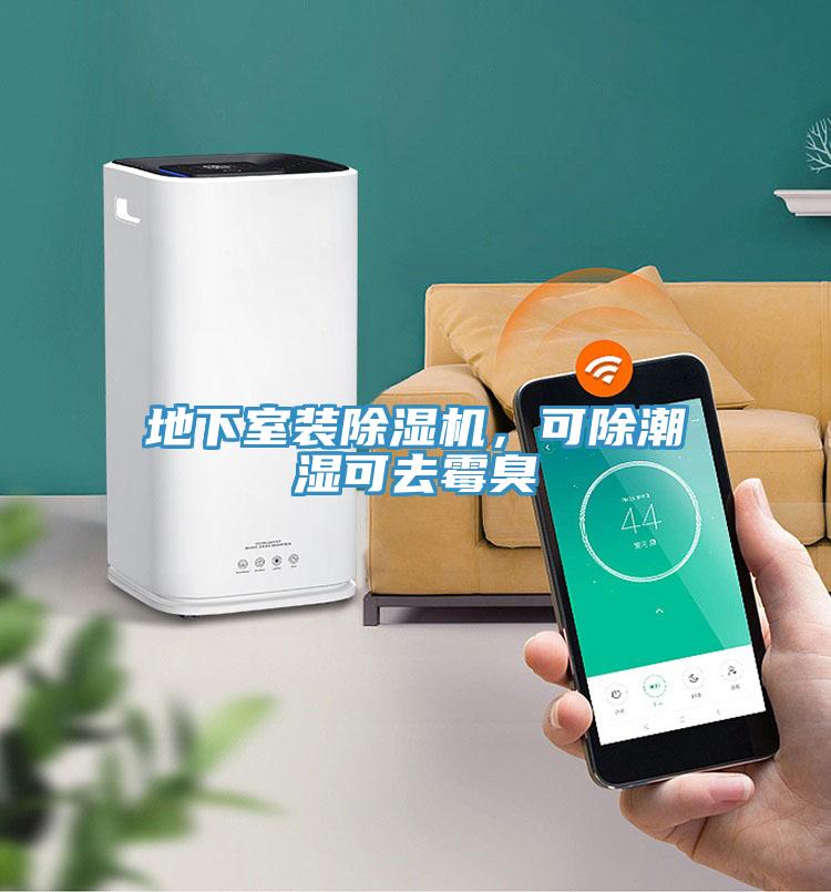 地下室裝除濕機，可除潮濕可去霉臭