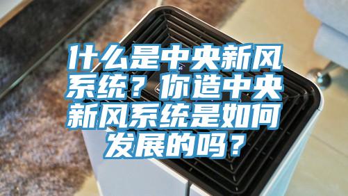 什么是中央新風(fēng)系統(tǒng)？你造中央新風(fēng)系統(tǒng)是如何發(fā)展的嗎？