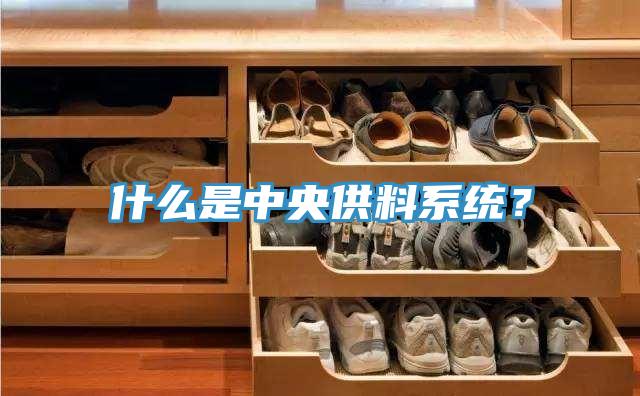 什么是中央供料系統(tǒng)？
