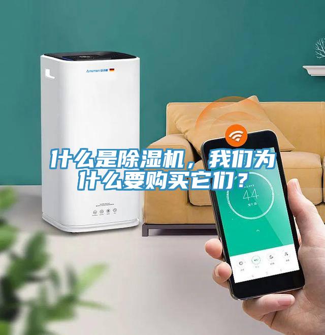 什么是除濕機(jī)，我們?yōu)槭裁匆徺I它們？