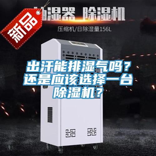 出汗能排濕氣嗎？還是應該選擇一臺除濕機？