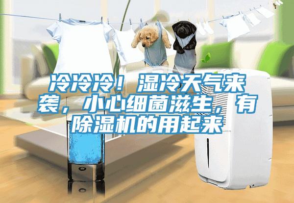 冷冷冷！濕冷天氣來襲，小心細(xì)菌滋生，有除濕機(jī)的用起來