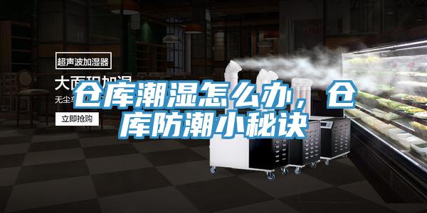 倉(cāng)庫(kù)潮濕怎么辦，倉(cāng)庫(kù)防潮小秘訣