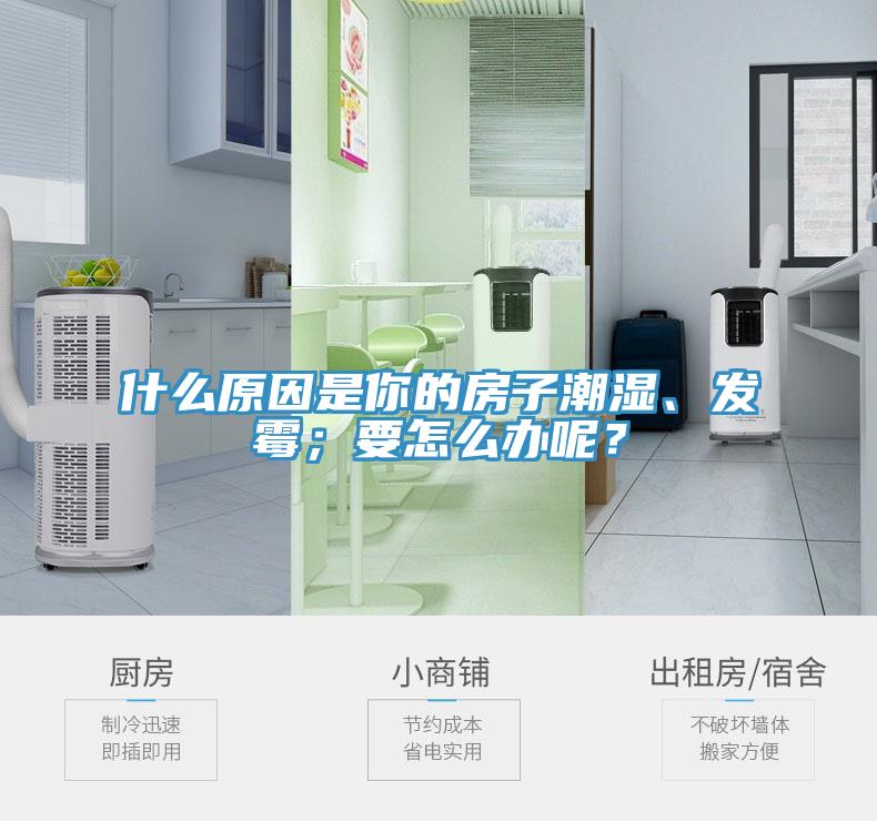 什么原因是你的房子潮濕、發(fā)霉；要怎么辦呢？